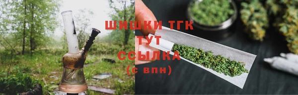 PSILOCYBIN Пересвет