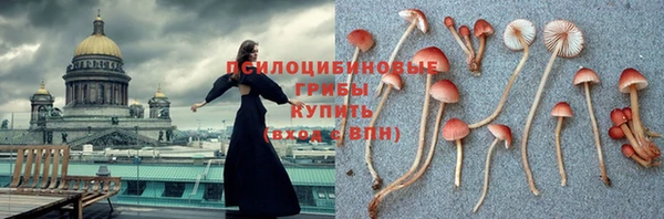 PSILOCYBIN Пересвет