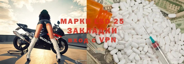 PSILOCYBIN Пересвет