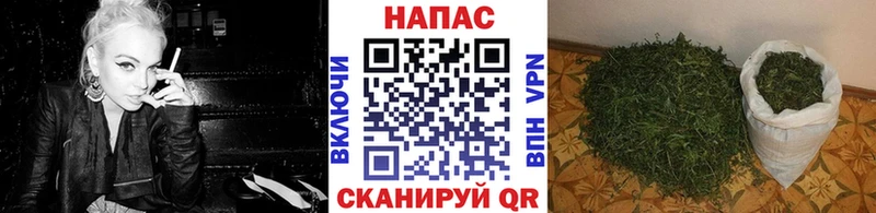 Шишки марихуана сатива  МЕГА   Красный Холм  купить наркотики сайты 